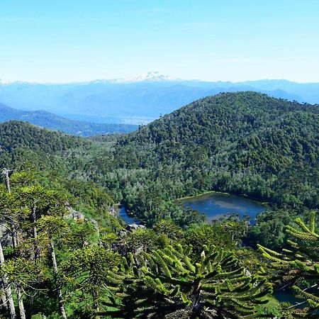 Вилла Cabana Caburgua Hermosa Vista Al Volcan, Senderos Del Bosque Пукон Экстерьер фото