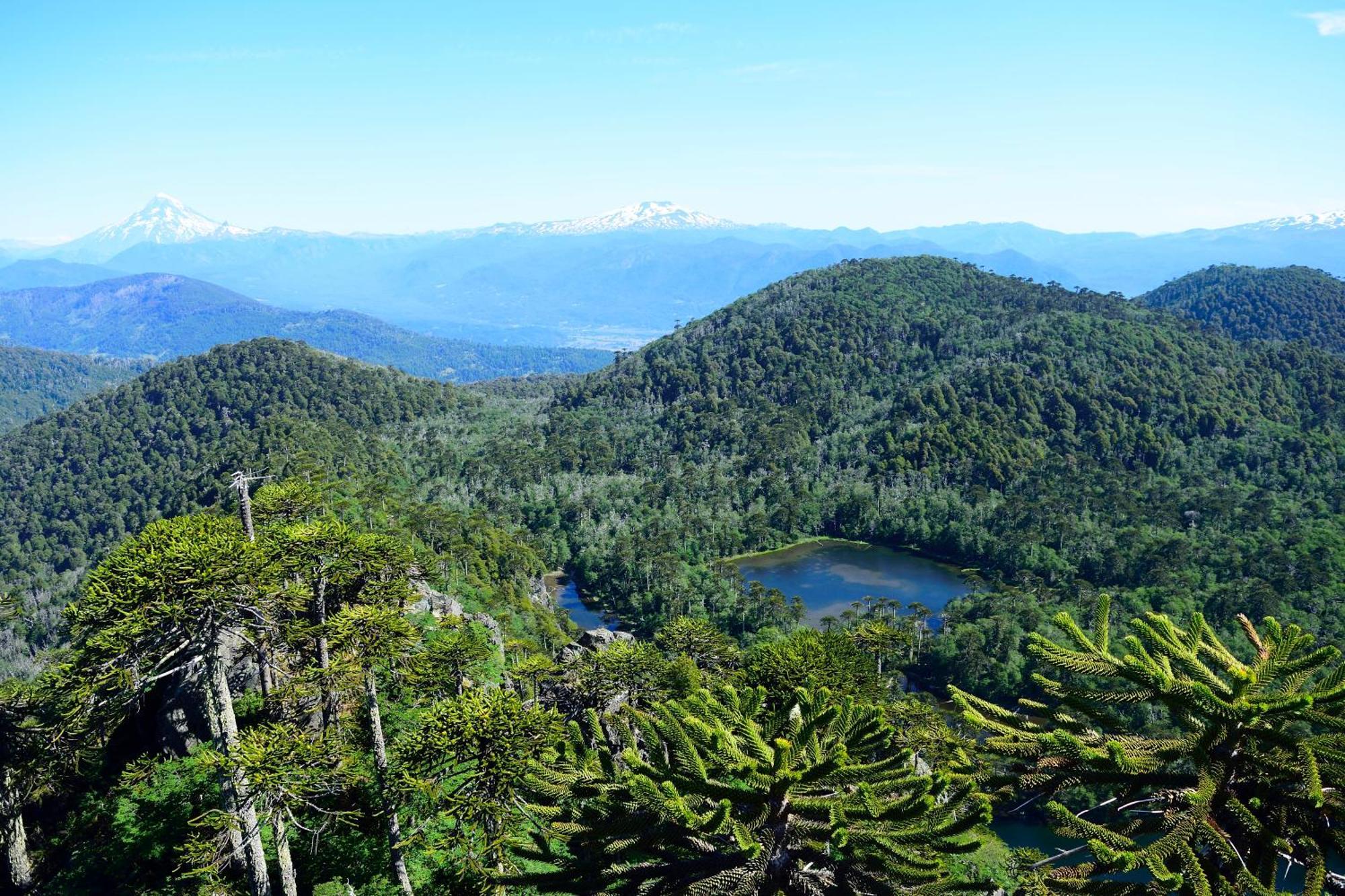 Вилла Cabana Caburgua Hermosa Vista Al Volcan, Senderos Del Bosque Пукон Экстерьер фото