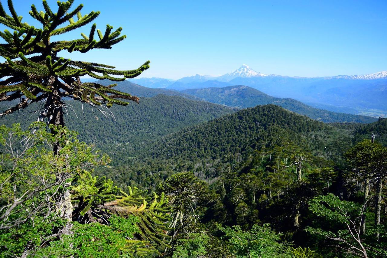 Вилла Cabana Caburgua Hermosa Vista Al Volcan, Senderos Del Bosque Пукон Экстерьер фото